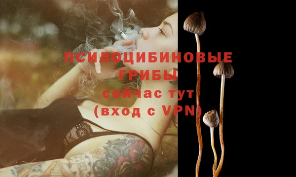 бутик Няндома