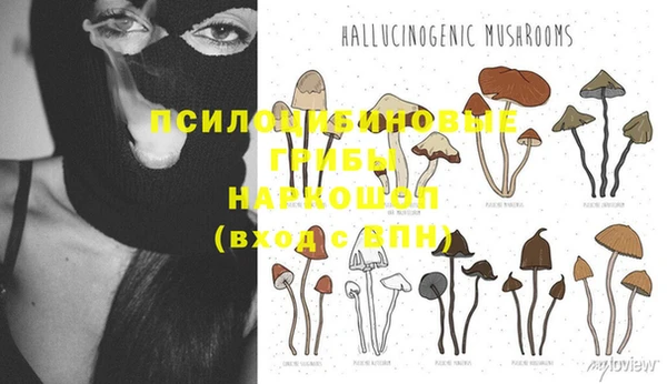 круглые Нягань
