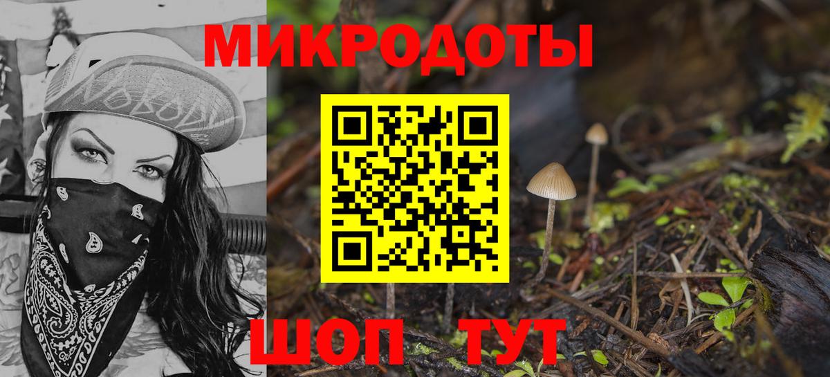 Галлюциногенные грибы Psilocybe Асино