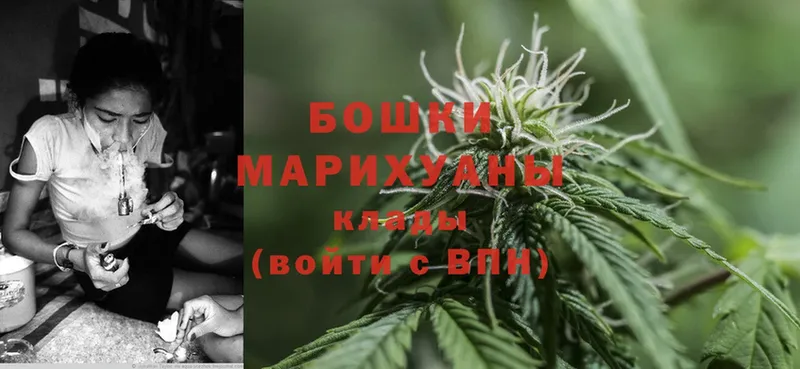 Конопля SATIVA & INDICA  как найти   Асино 